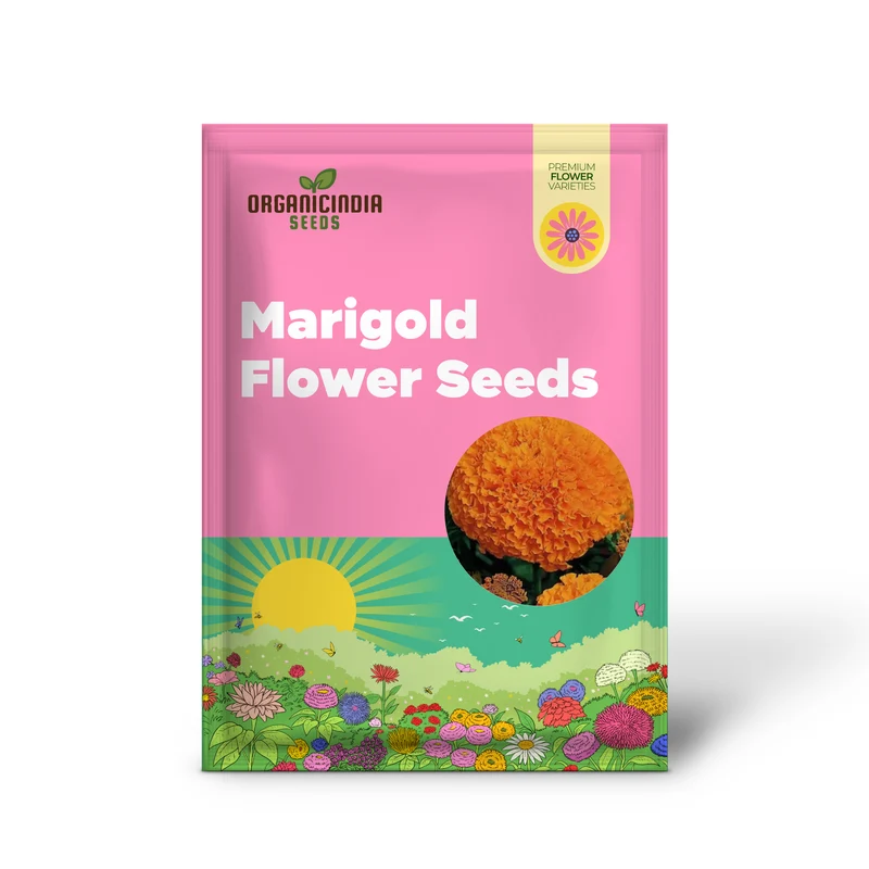 Giant Hybrid Marigold Flower Seeds for Planting, A Complete Guide to Growing Vibrant, Large Marigold Blooms