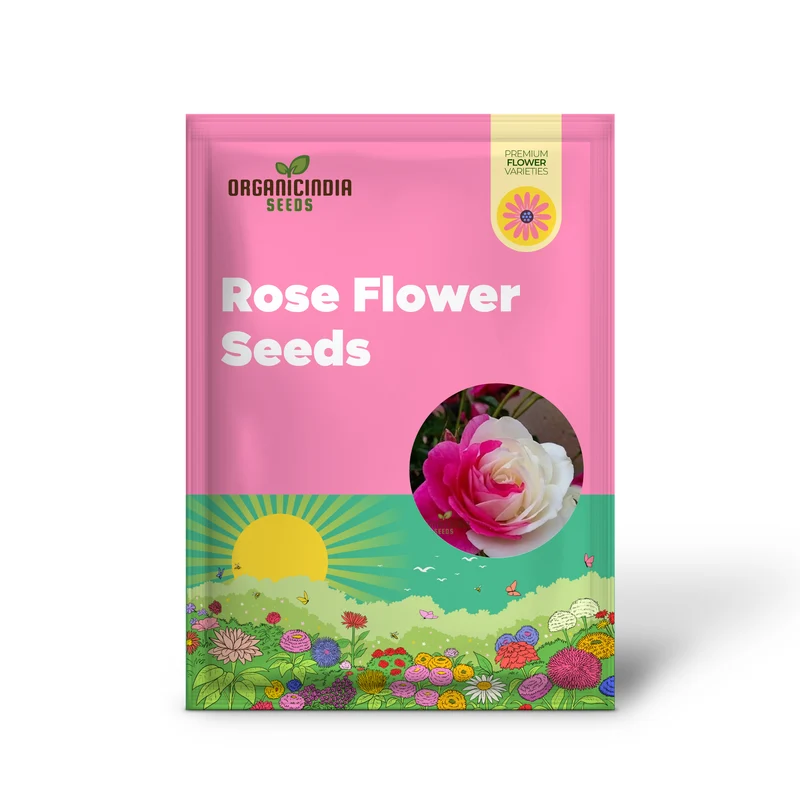 Pink & White Rose Seeds – Dual Color Garden Flowers