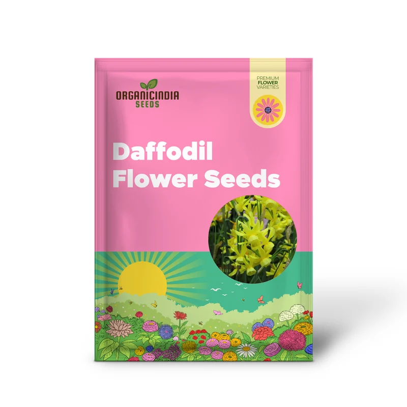 Narcissus Hawera Seeds – Pure Yellow Mini Daffodils