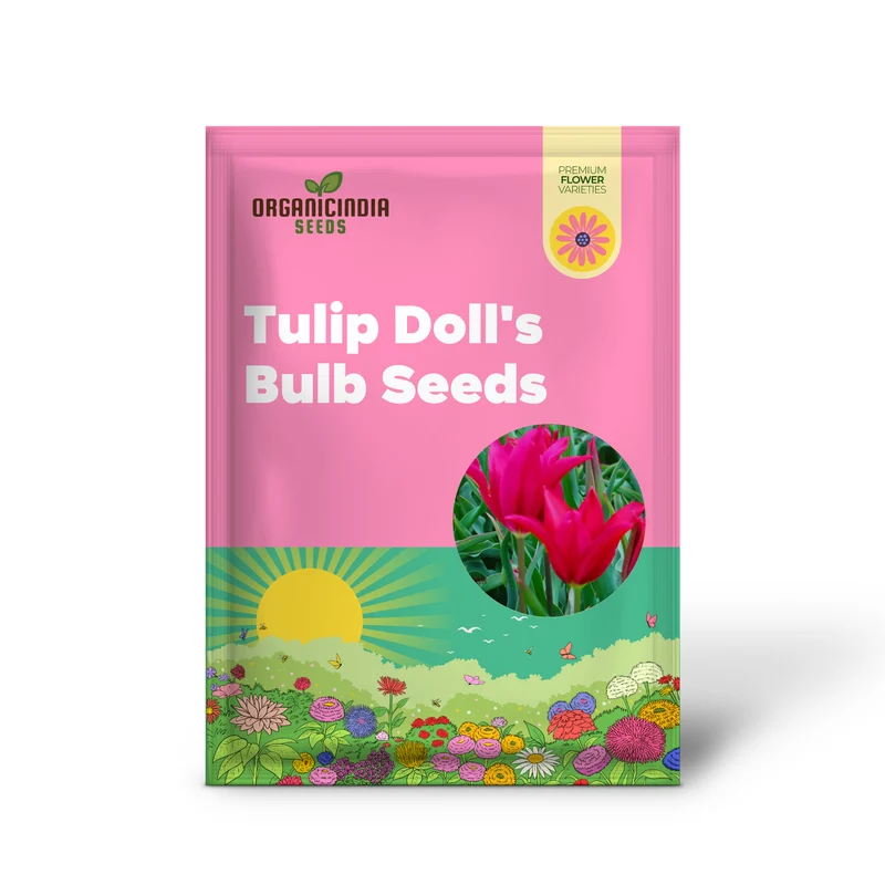 Tulip Doll's Minuet Bulb Seeds- Premium Gardening Seeds for Stunning Blooms | High-Quality Seeds"