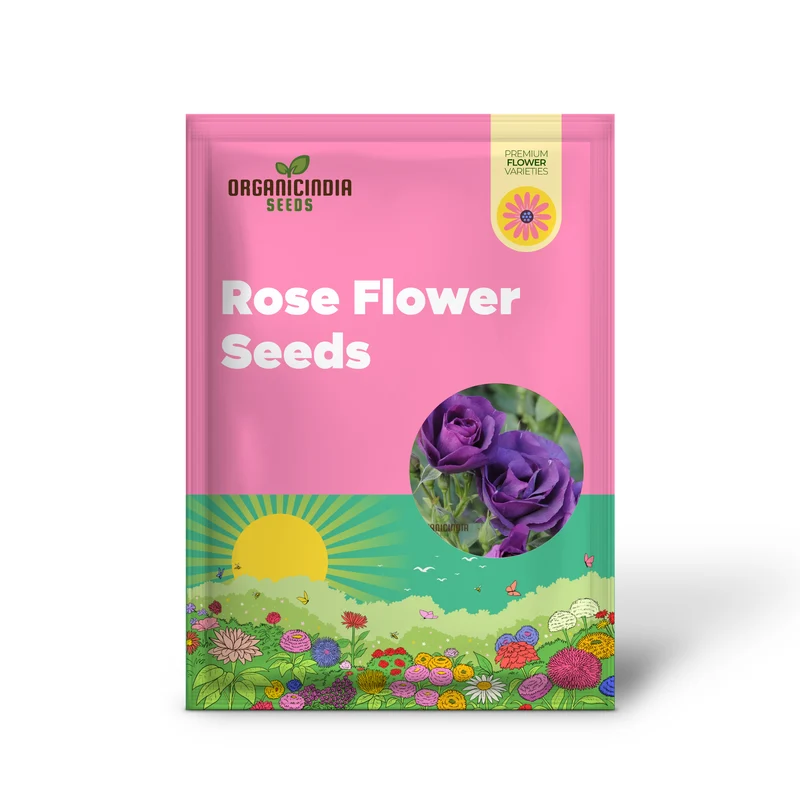 Purple Rose Flower Seeds for Planting, Stunning Garden Blooms, High Quality Rose Seeds for a Beautiful Flower Garden