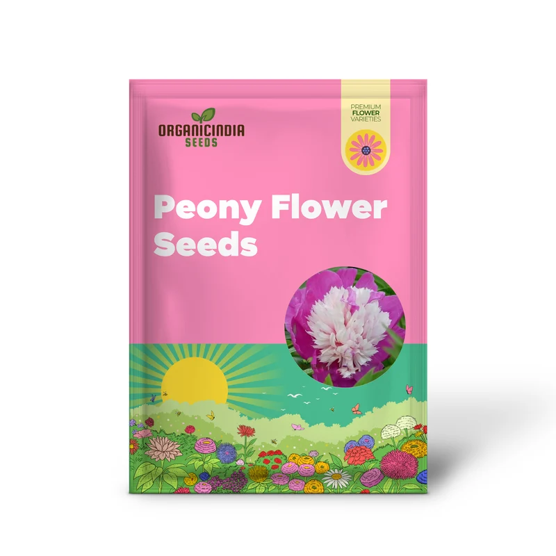 Pink and White Japanese Peony Flower Seeds for Planting