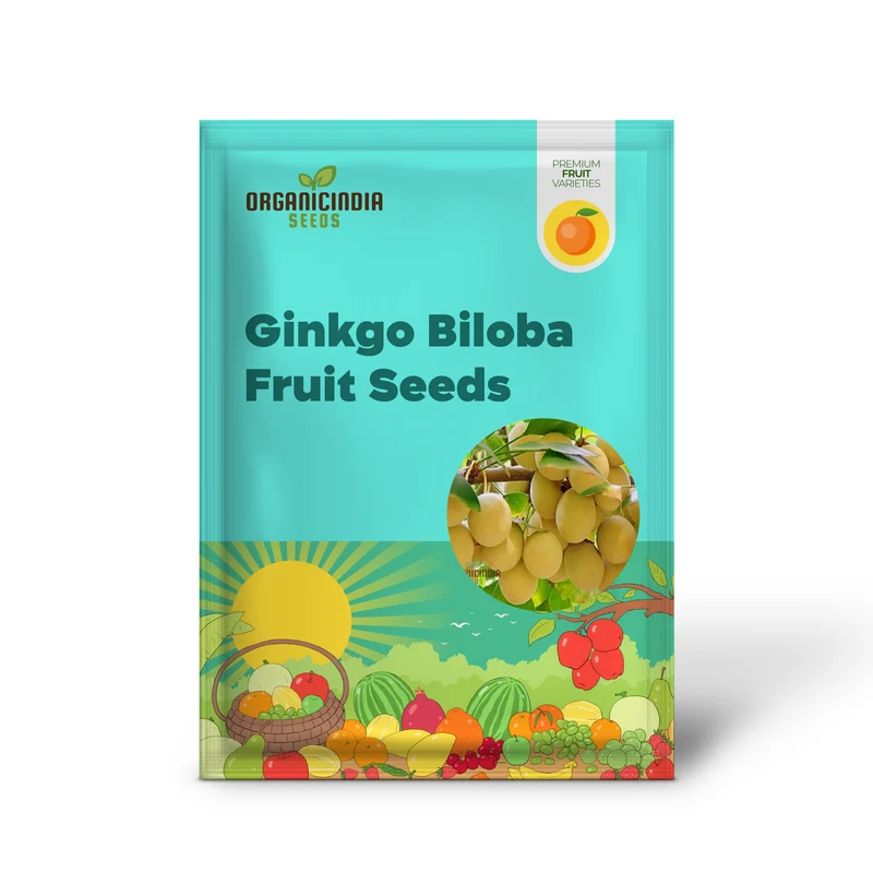 Ginkgo Biloba Fruit Seeds Elevate Your Gardening Experience with Unique and Ancient Trees for a Timeless Addition to Your Landscape!
