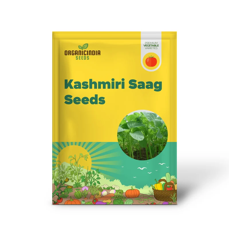 Kashmiri Saag Seeds for Planting Heirloom Quality Seeds for Your Garden