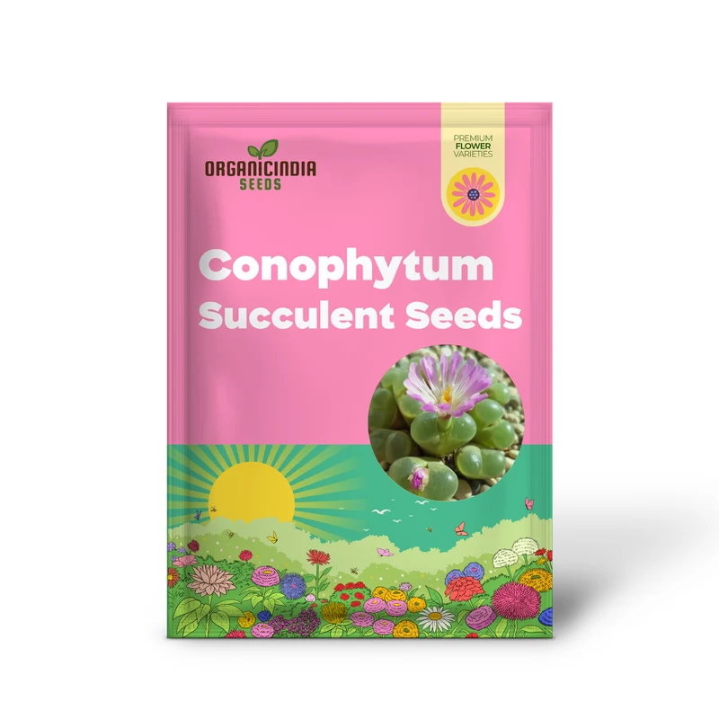 Eye Leaves Conophytum Succulent Seeds for Planting, Perfect for Home Gardens and Indoor Planting Collections, High-Quality Seeds