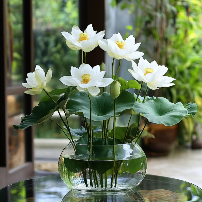 Asiatic White Lotus Seeds for Planting All Seasons, Easy to Grow, Perfect for Gardening
