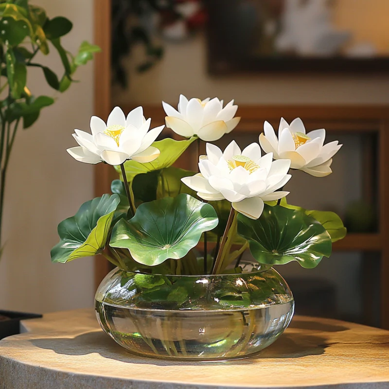 Asiatic White Lotus Seeds for Planting All Seasons, Easy to Grow, Perfect for Gardening