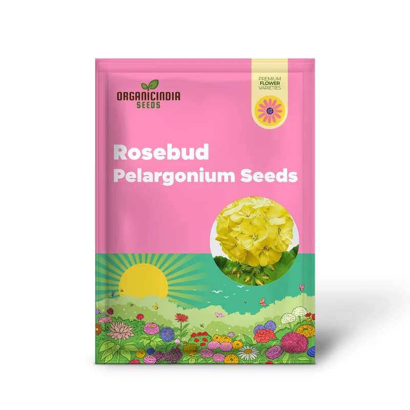 Premium Yellow Japanese Rosebud Pelargonium Geranium Flower Seeds for Planting