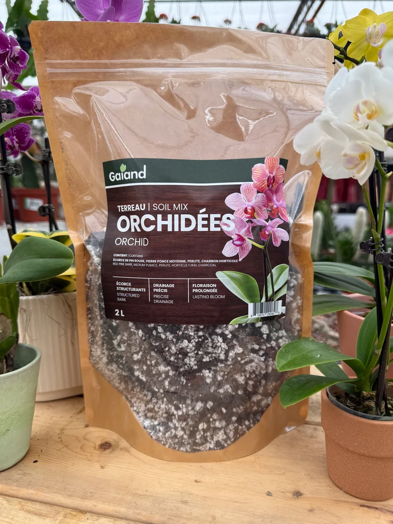 Terreau pour orchidée épiphyte Gaiand