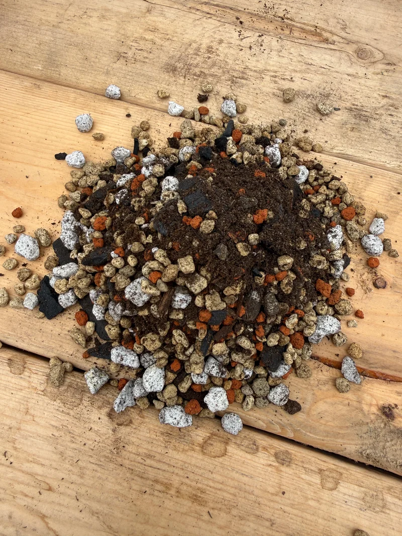 Terreau maison pour cactus désertique