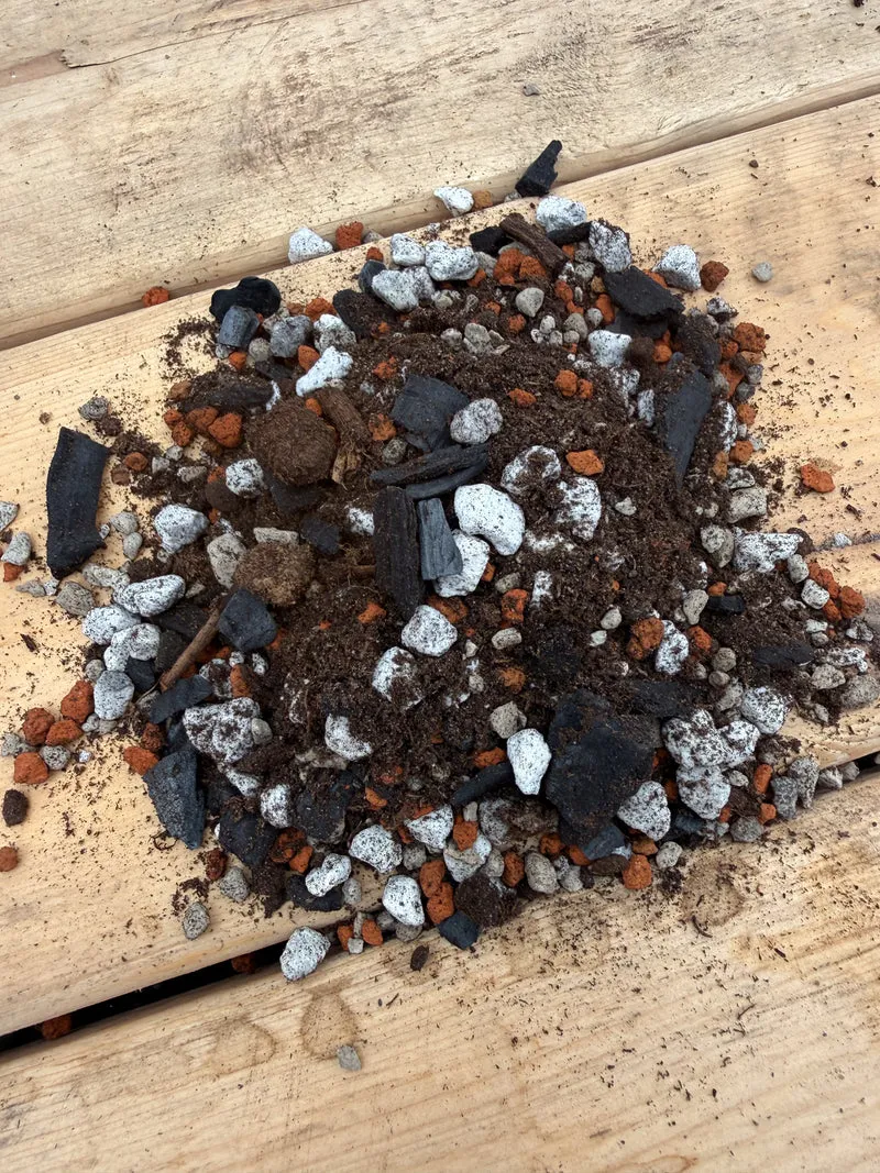 Terreau maison pour plantes succulentes