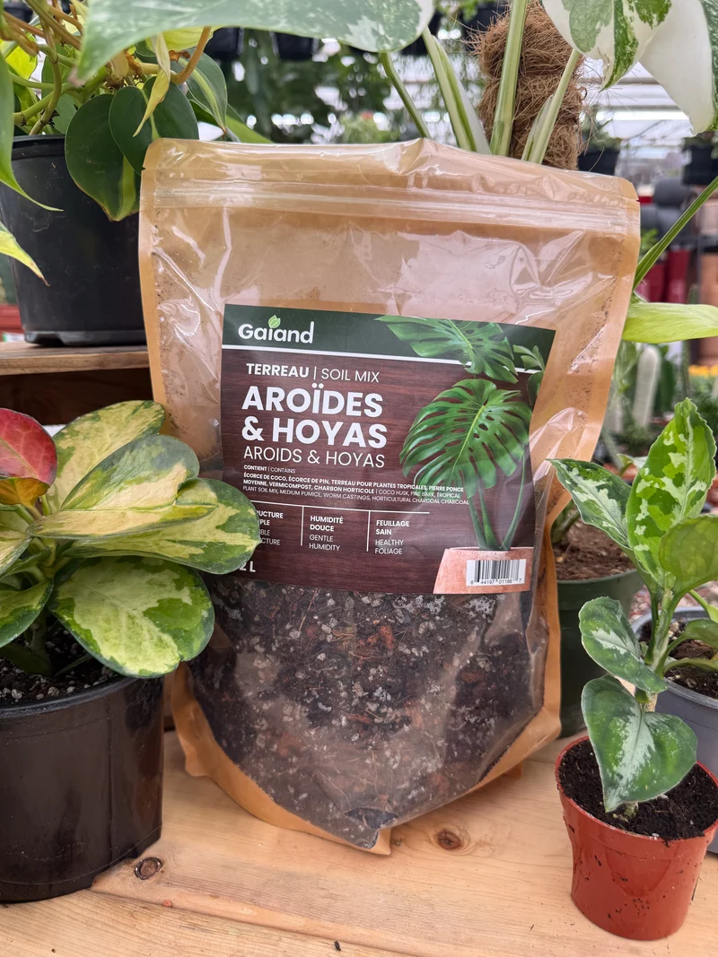 Terreau pour plantes aroids et hoyas GAIAND