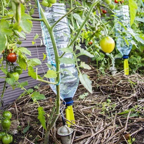 Pied goutteur Iriso X4 – Arrosage autonome goutte à goutte
