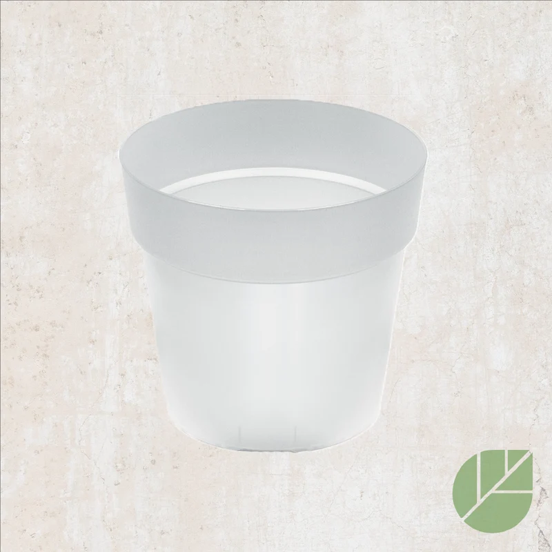 Pot transparent en plastique Properplast pour orchidée
