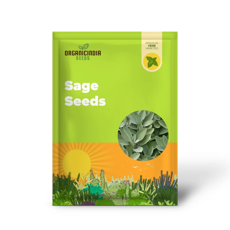 Sage Seeds – Premium Quality Salvia Officinalis for Home & Herbal Gardens