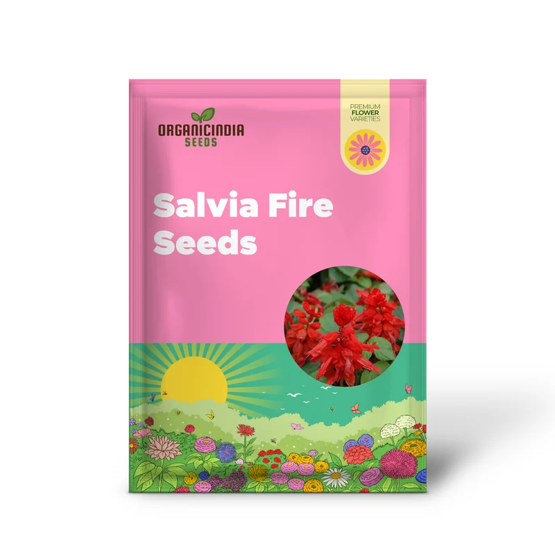 Salvia Saint John's Fire Seeds - Premium Quality for Vibrant Gardening