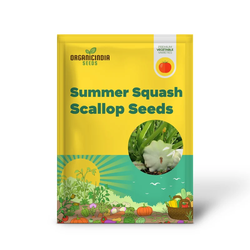 Summer Squash White Scallop Vegetable Seeds for Planting, High-Quality Seeds for Gardening, Perfect for Growing