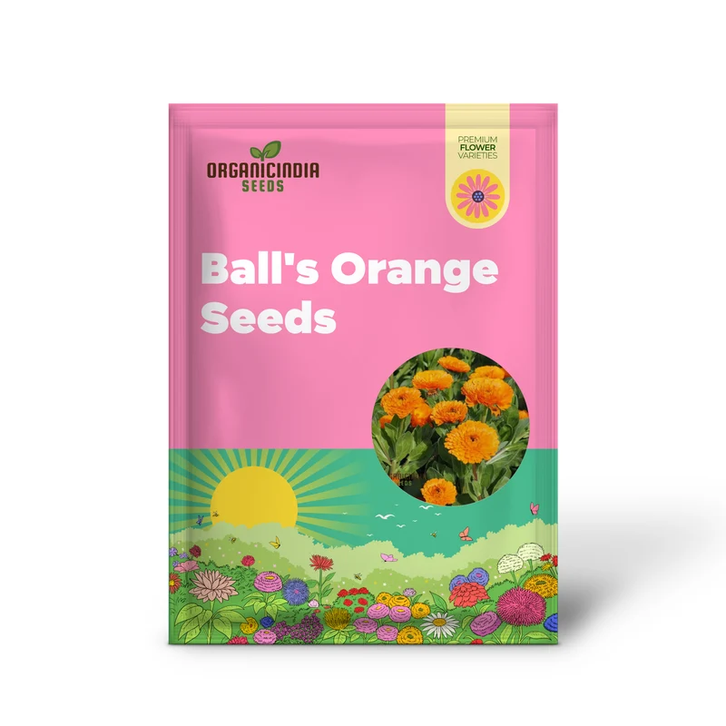 Ball's Orange Seeds for Planting - High-Quality Organic Seeds