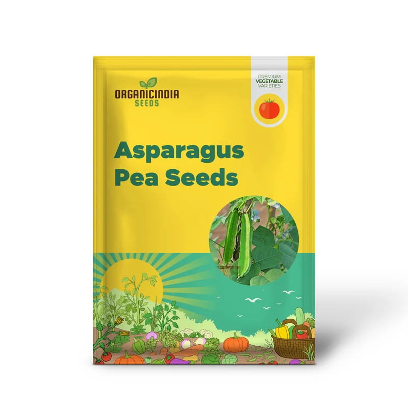 Asparagus Pea Vegetable Seeds For Planting, Unique and Flavorful Vegetable for an Exciting Garden Harvest