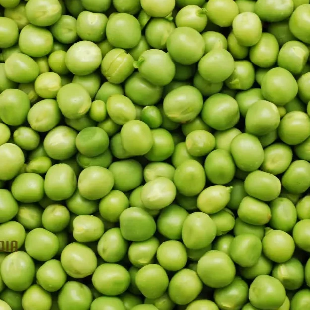 Pea Bean Vegetable Seeds for Planting, High-Quality Seeds for Grow Healthy, Productive Pea Beans in Your Garden Perfect Seeds for Home Garden