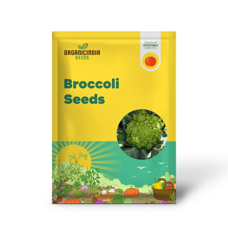 Broccoli - Romanesco Seeds for Gardening Enthusiasts | Premium Quality, Heirloom Variety | Ideal for Home Gardens and Organic Gardening