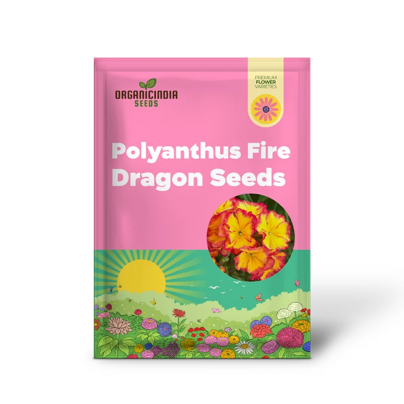 Polyanthus Showstopper Fire Dragon F1 Flower Seeds For Planting, Vibrant Red Polyanthus for a Stunning Garden Display