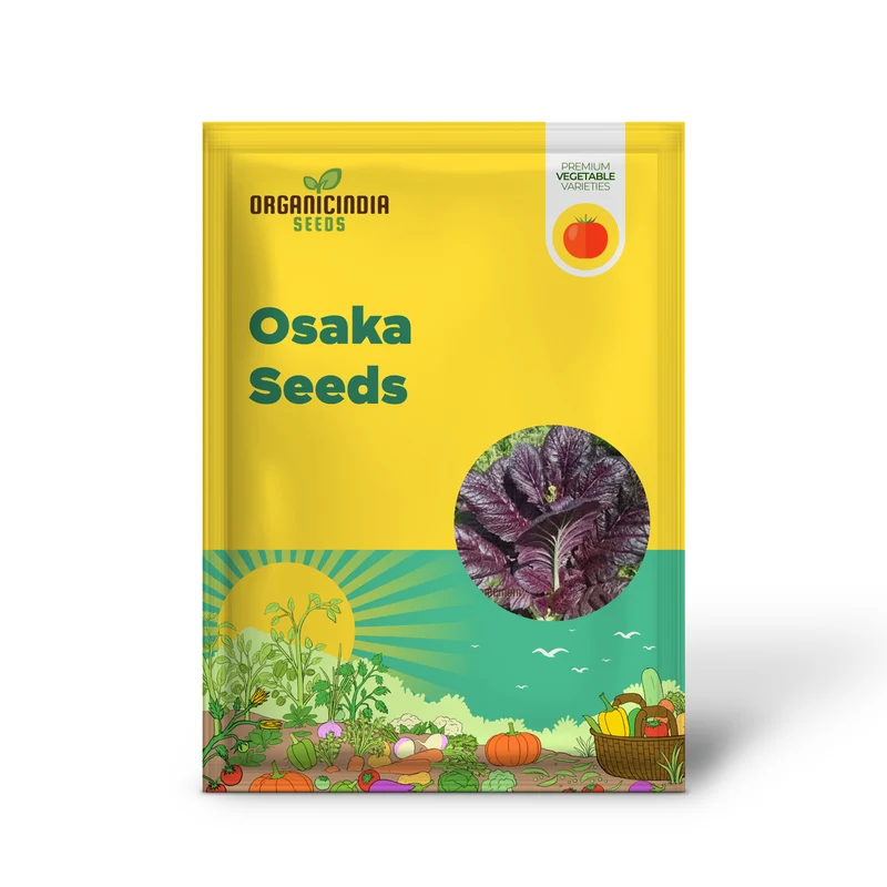 Osaka Purple Seeds for Vibrant Gardens - Buy Seeds for Planting Online