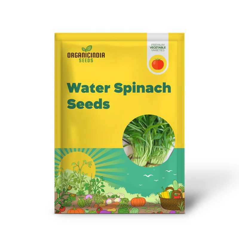 Kang Kong (Water Spinach Or Entsai) Seeds for Planting - Organic Gardening Essentials