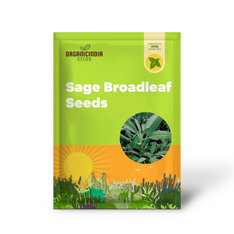 Sage Broadleaf Seeds – Premium Quality for Planting Success