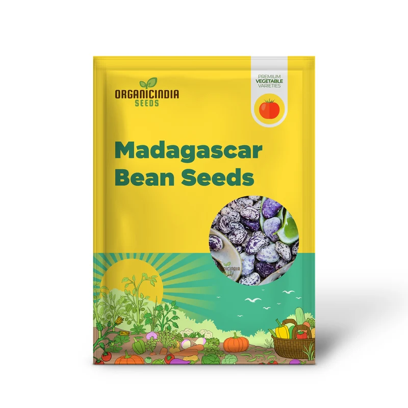 Madagascar Bean Seeds for Planting - High-Quality Organic Seeds