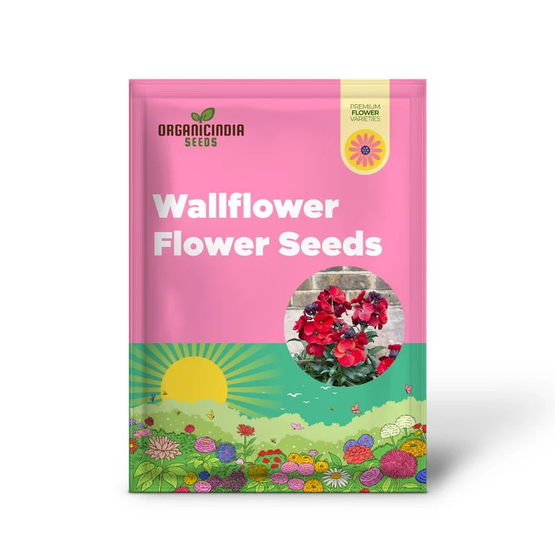 Wallflower Seeds (Purple Red Wallflower Seeds) - Stunning Colorful Blooms for Gardens