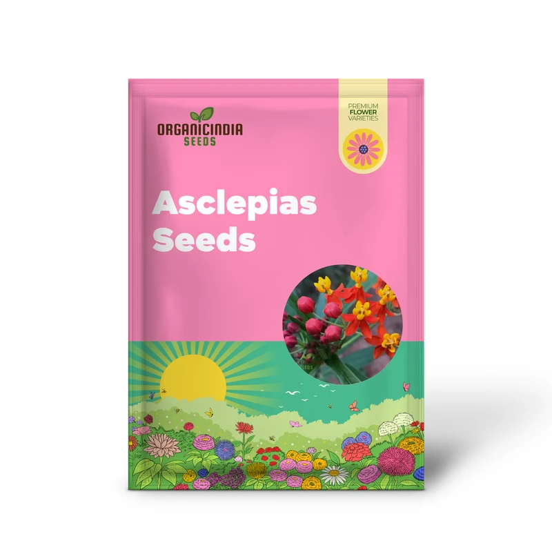Asclepias Seeds (Milkweed Flower Seeds) - Monarch Butterfly Friendly Blooms