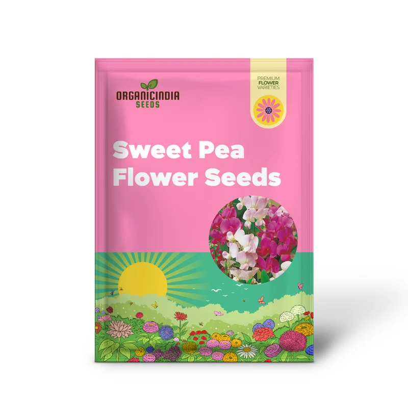 Perennial Sweet Pea Everlasting Mixture Seeds – Climbing Flowers