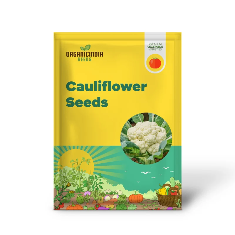 Premium Cauliflower Snowball Seeds for Planting , Ideal for Home Gardeners and Grow