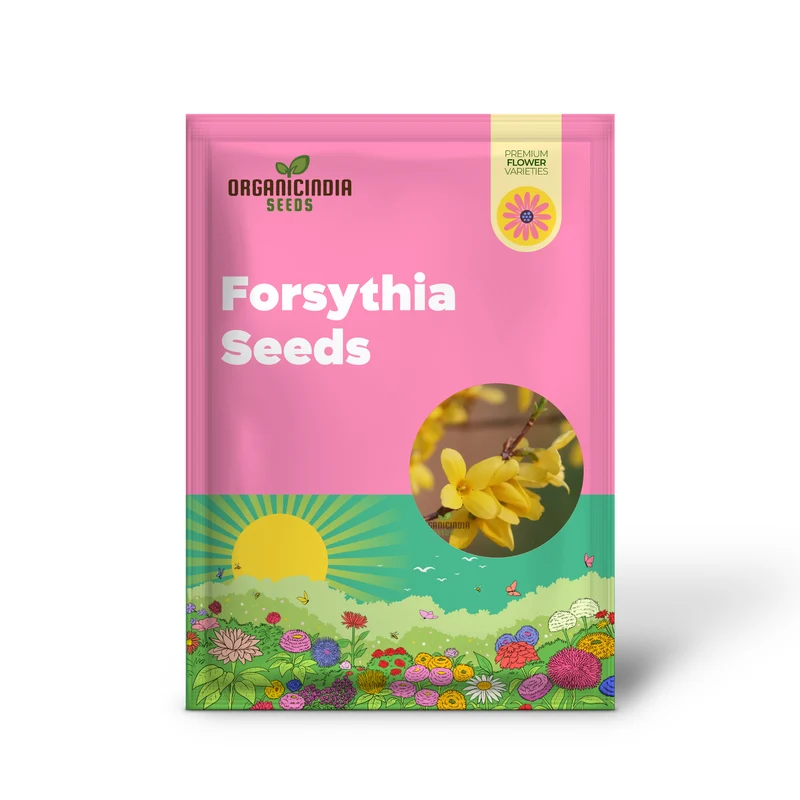 Weeping Forsythia Seeds – Forsythia Suspensa Shrub