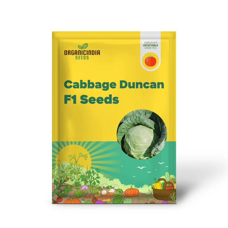 Cabbage Duncan F1 Seeds For Planting - Organic, High Yield, Easy to Grow