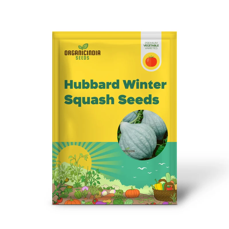 Hubbard Blue Winter Squash Seeds for Gardening Heirloom Seed Variety Perfect for Home Gardens