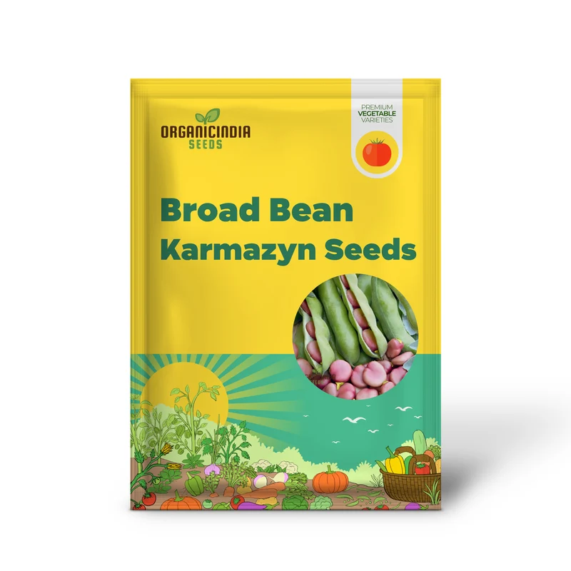 Broad Bean Karmazyn Vegetable Seeds for Planting, Premium Quality Seeds for Home Gardening