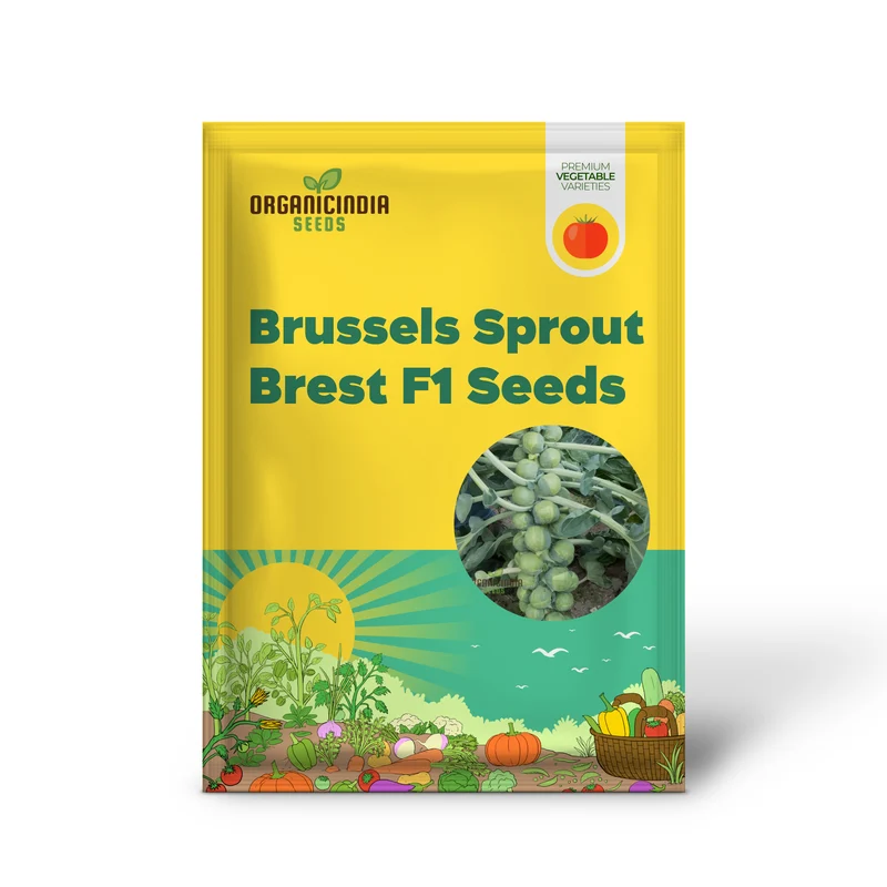 Brussels Sprout Brest F1 Seeds For Planting, High-Yielding Vegetable Seeds for Delicious and Nutritious Brussels Sprouts