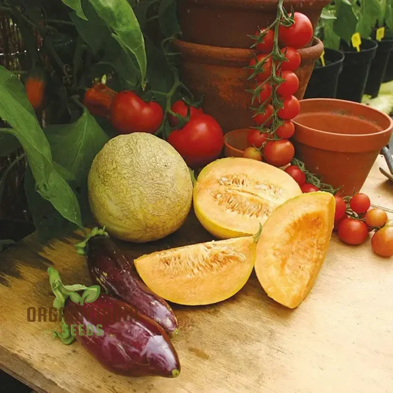 Melon Emir F1 AGM Seeds, High-Quality Fruit Seeds for Planting Delicious Melons in Your Garden