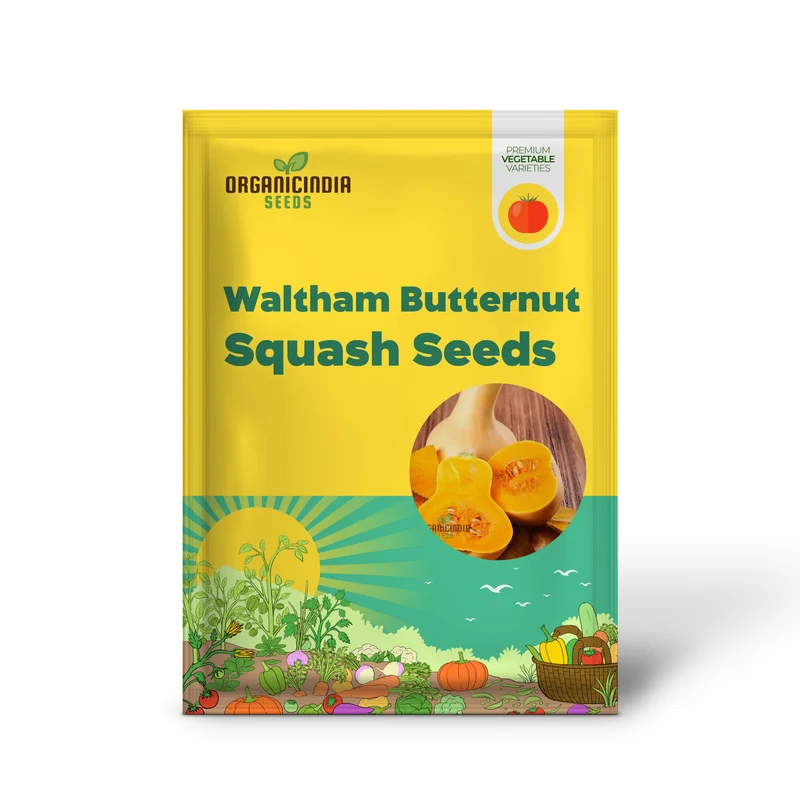 Waltham Butternut Squash Seeds for Planting, Gardening Seeds for Your Vegetable Garden