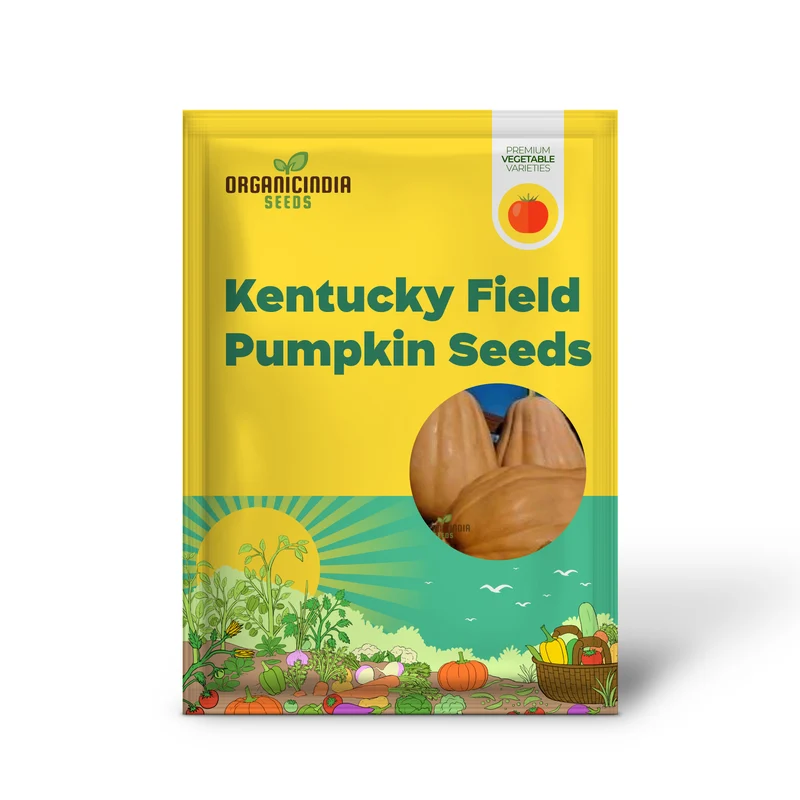 Kentucky Field Pumpkin Seeds - Perfect for Gardening | Premium Quality Seeds