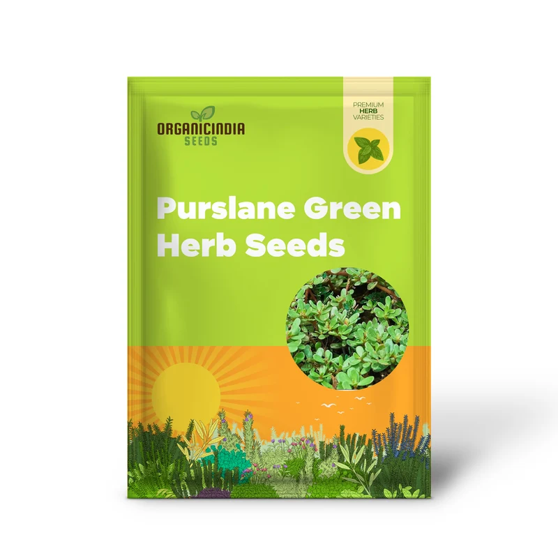 Purslane Green Herb Seeds – Premium Non-GMO Seeds for Home Gardening & Planting