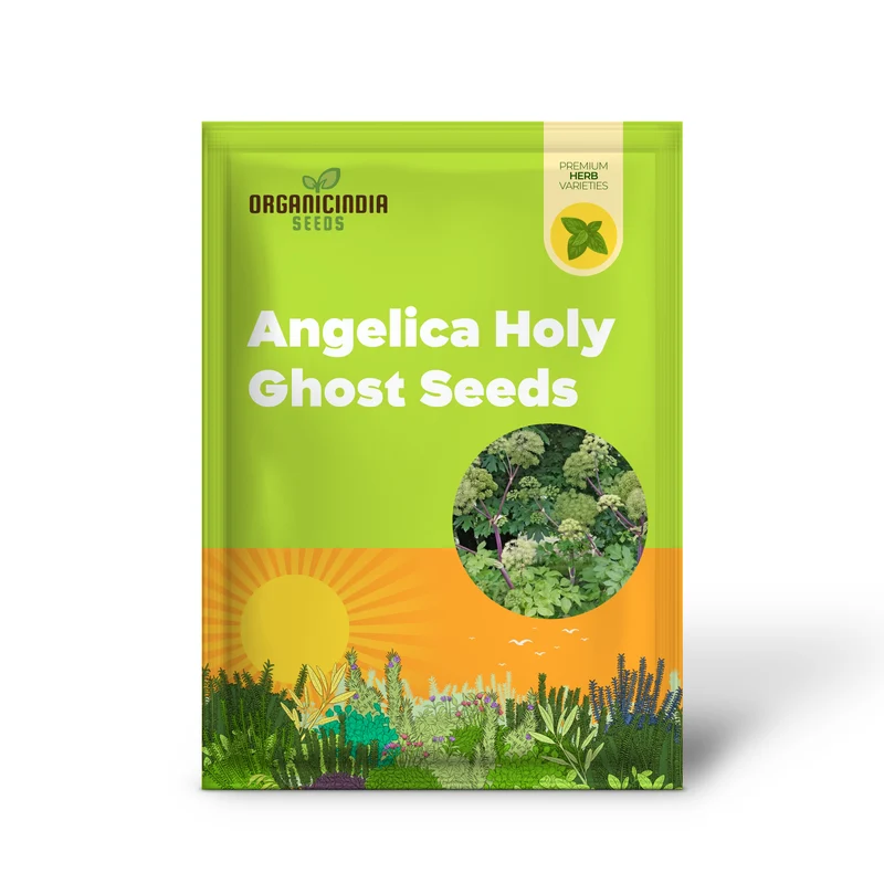 Angelica Holy Ghost Seeds for Planting – Premium Quality, Lush Garden Growth