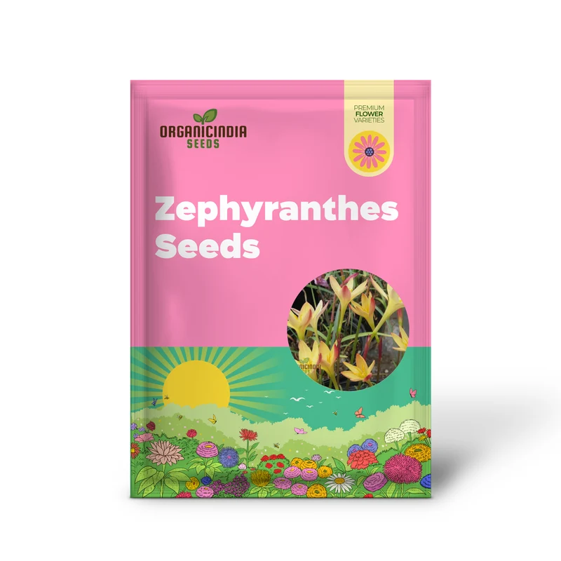 Zephyranthes Primulina Seeds - Exquisite Rain Lily for Your Garden Blooms