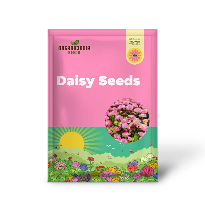 Daisy Double Monstrosa Rose/Pink Seeds (Bellis perennis) - Perfect for Gardening Enthusiasts