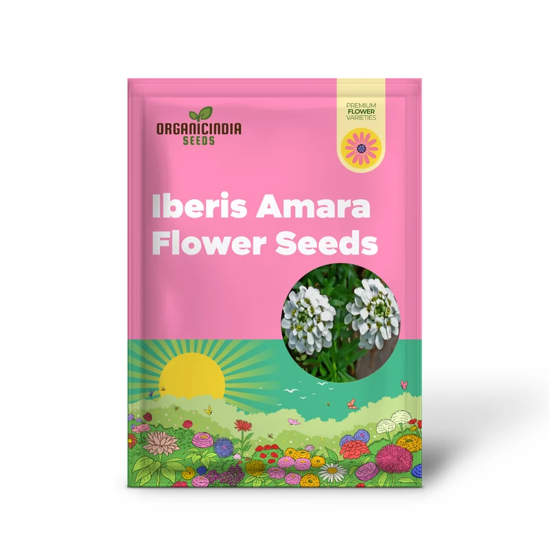 Candytuft - Iberis Amara White Flower Seeds For Planting, Perfect for Garden Borders and Floral Displays