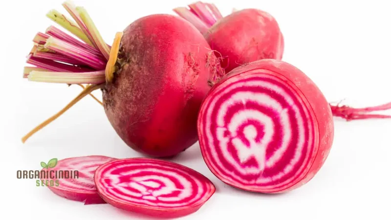 Beetroot - Heirloom Mix Vegetable Seeds For Planting, Diverse and Nutritious Varieties for Your Garden