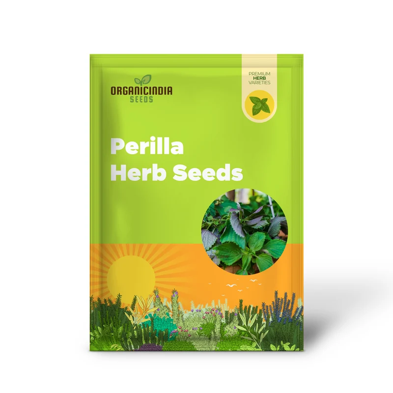 Shiso Seeds – Jeok Ssam Ip Perilla Herb, Fresh Red Shiso Leaves for Home Growing