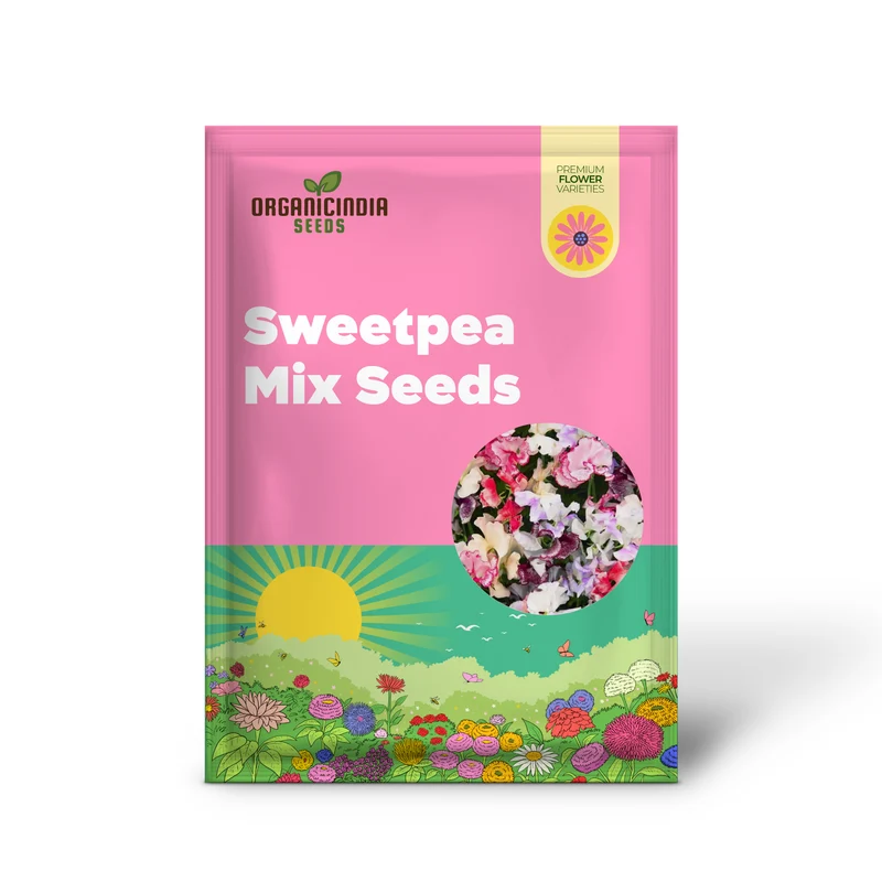 Sweetpea Streamer Mix Seeds for Planting and Gardening Enthusiasts